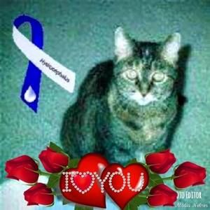 Meet your Posher, Kathleen